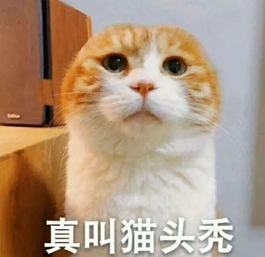 头条表情包.jpg